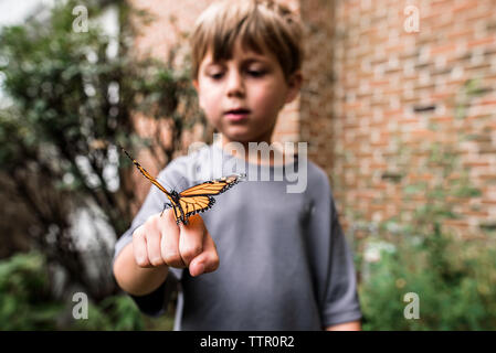 Monarch butterfly sitzen auf Boy's Hand, als er auf mich schaut Stockfoto