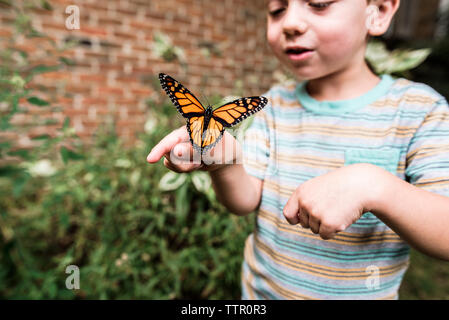 Junge holding Monarch butterfly auf seiner Hand und lächelnd Stockfoto