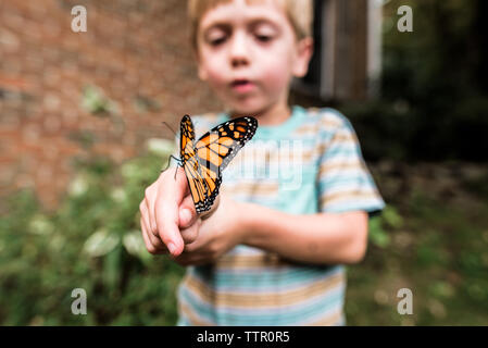 Monarch butterfly sitzen auf Boy's Hand, als er bemerkt es Stockfoto