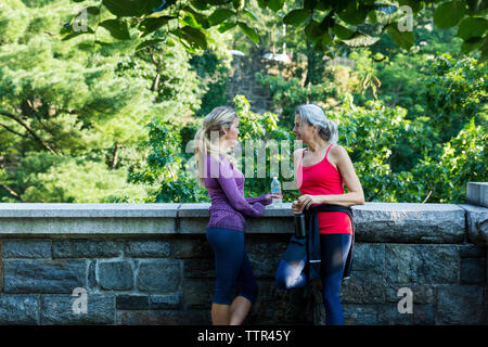 Freunde Reden halten Flaschen durch die stützmauer gegen Filialen im Park Stockfoto