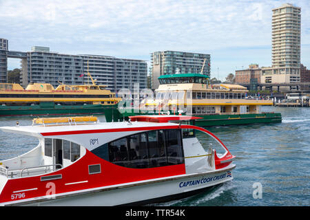 Captain Cook Cruises Yacht und Sydney Ferries im Hafen von Sydney am Circular Quay, Sydney, Australien Stockfoto