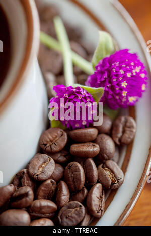 Close-up von Globe amaranth Blumen auf gerösteten Kaffeebohnen in der Untertasse Stockfoto