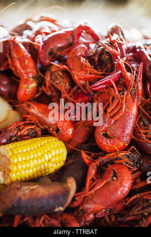 In der Nähe von gekochten crayfishes mit Mais und Kartoffeln Stockfoto