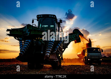 Zuckerrohr Feldhäcksler auf Feld gegen Himmel am Bauernhof bei Sonnenuntergang Stockfoto