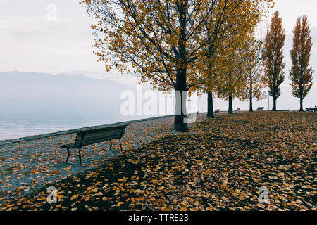 Leere Bänke auf Wanderweg am See im Herbst Stockfoto