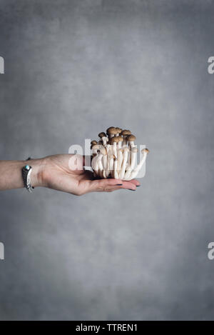 Zugeschnittenes Bild der Frau mit shimeji Pilze gegen graue Wand Stockfoto