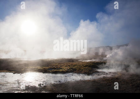 Dampf aus dem geysir an einem sonnigen Tag Stockfoto