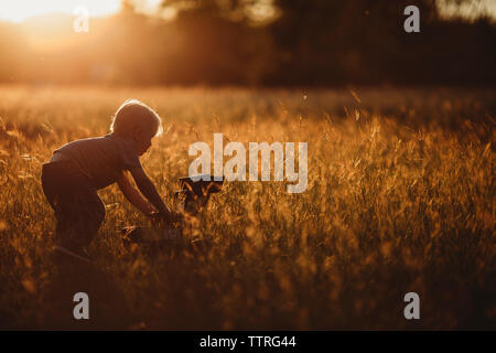 Seitenansicht des Jungen spielen mit Spielzeug earthmover auf Feld Stockfoto