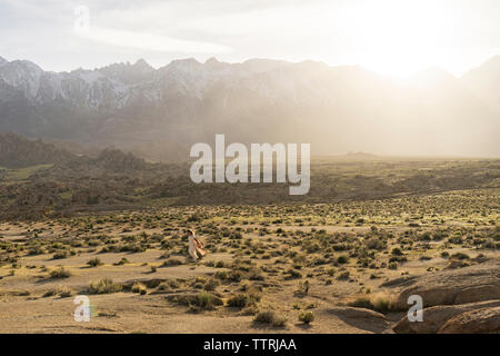 Fernsicht auf junge Frau zu Fuß auf Feld gegen Berge Stockfoto