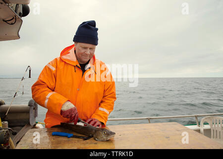 Fischer in orange Arbeitsschutzausrüstungen beim Schneiden von Fisch im Boot auf dem Meer Stockfoto