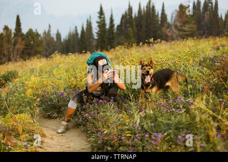 Frau fotografieren Hund mit Handy während kauert auf dem Feld im Wald Stockfoto