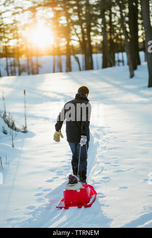Ansicht der Rückseite des Vaters Schlitten ziehen mit Tochter auf Schnee im Park abgedeckt Stockfoto