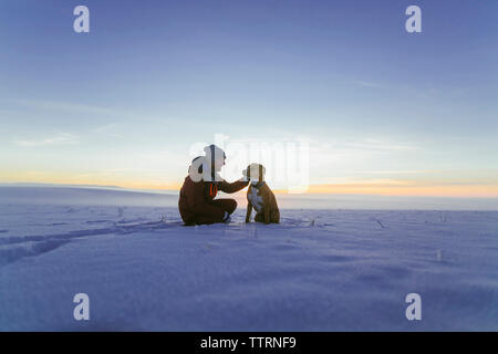 Wanderer Streichelzoo Hund sitzend auf schneebedeckten Feld gegen Himmel bei Sonnenuntergang Stockfoto