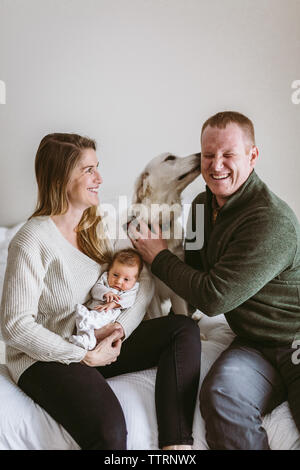 Familie mit neugeborenen Mädchen auf dem Bett mit dem Hund lecken Gesicht meines Vaters Stockfoto