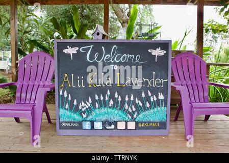 Ali'i Kula Lavender Farm in Maui, Hawaii Stockfoto