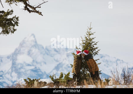 Paar Küsse unter Weihnachtsbaum in den Tetons Stockfoto