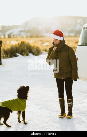 Glückliche junge Dame in santa hut spielt mit schwarzer Welpe Hund Stockfoto