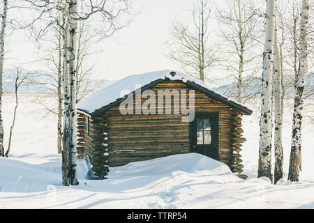 Historische verschneiten Hütte in Aspen Bäumen anmelden Stockfoto