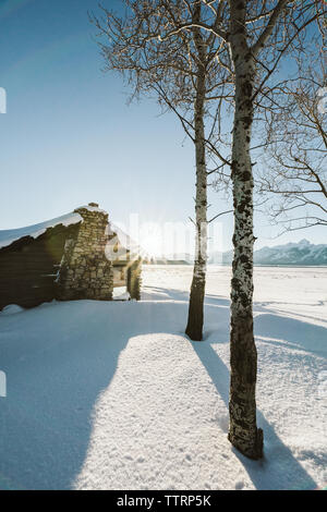 Eine Kabine in einem Aspen Grove bei Sonnenuntergang anmelden unter den Bergen Stockfoto