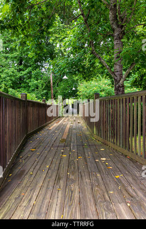 Ein Holzsteg führt durch einen Wald und über einen Bach. Stockfoto