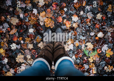 Niedrige Abschnitt von Frau Stiefel tragen, während auf gefallene Ahornblätter im Herbst stehen Stockfoto