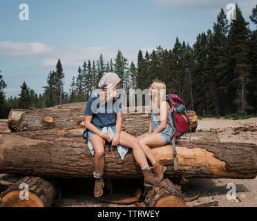 Weibliche Freunde sprechen während der Sitzung anmeldet gegen Himmel im Wald während der sonnigen Tag Stockfoto