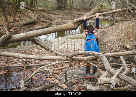 Ansicht der Rückseite des Jungen mit Rucksack hängen an gefallenen Baum im Wald Stockfoto