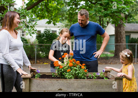 Familie bei Blumen im Garten wachsenden suchen Stockfoto