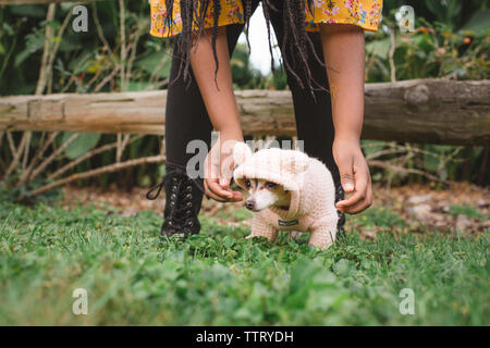 Low-Feld der Mädchen mit niedlichen Chihuahua stehend auf der Wiese im Park Stockfoto