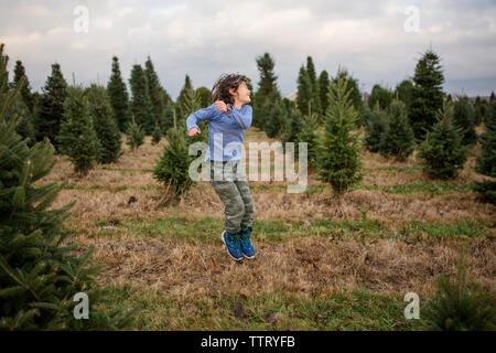 Happy Boy springen auf Wiese gegen bewölkter Himmel im Pine Tree Farm bei Sonnenuntergang Stockfoto