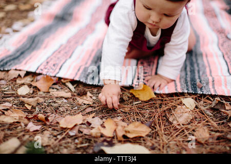 Baby Mädchen Kommissionierung trockene Blätter, während auf der Decke im Wald sitzen Stockfoto