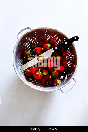 Ansicht von oben von Erdbeeren und Küchenmesser in Sieb auf weißem Hintergrund Stockfoto