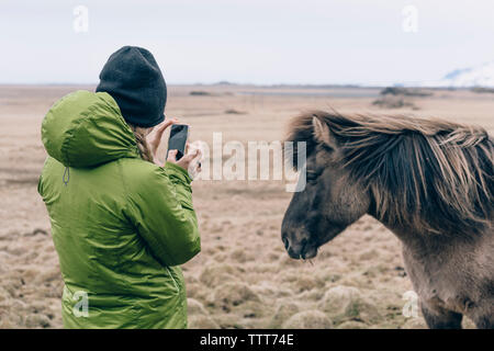 Ansicht der Rückseite Frau fotografieren isländische Pferd durch Handy gegen Sky Stockfoto