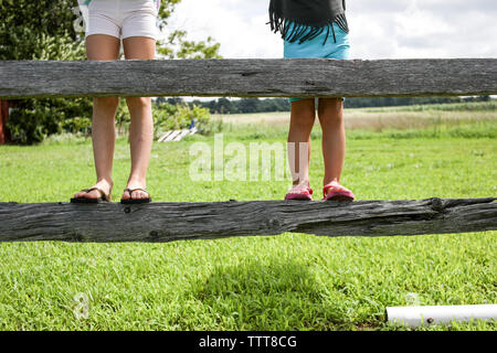 Schwestern stehen auf hölzernen Zaun im Bereich der Gras im Sommer Stockfoto