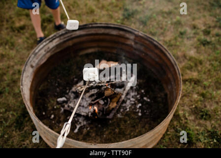 Niedrige Abschnitt der Boy rösten Marshmallow in der Spieß über das Feuer Grube im Hinterhof Stockfoto