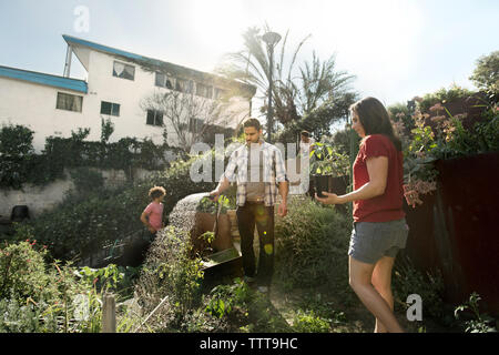 Mann Bewässerung von Pflanzen, die während der Arbeit mit Freunden in Gemeinschaft garten Stockfoto