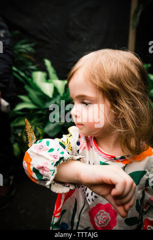 Cute Baby girl Holding Schmetterling beim Stehen gegen Pflanzen Stockfoto