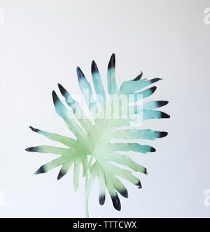 Lackiert Blatt gegen den weißen Hintergrund Stockfoto