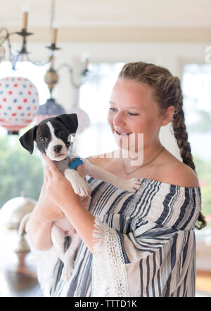 Junge Mädchen, dass Welpen Stockfoto