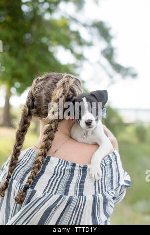 Die Rückseite eines Mädchens mit Abholung Schwänze durchlöcherte einen Hund mit traurigen Augen in Glost Stockfoto