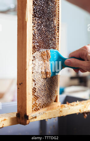 Zugeschnittenes Bild von Hand Reinigung Holz- Bienenstock Rahmen Stockfoto