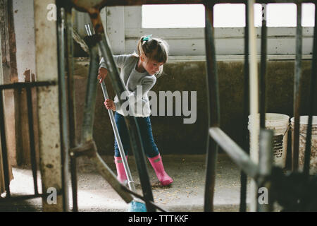 Mädchen in stabilen Stockfoto