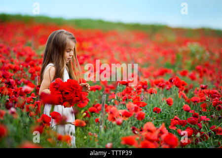 Mädchen, dass Strauß roter Mohn Blumen im Feld Stockfoto