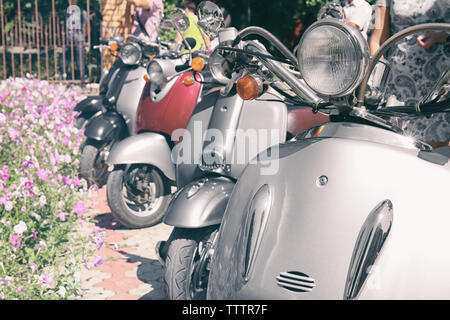 Hochzeit Konzept. Roller in einer Reihe geparkt Stockfoto