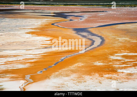 Laguna Colorada, Eduardo Avaroa Fauna der Anden National Reserve, Potosi, Bolivien Stockfoto