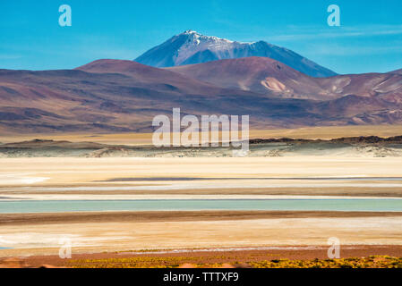 Laguna Salar de Talar mit der Anden, San Pedro de Atacama Antofagasta Region, Chile Stockfoto