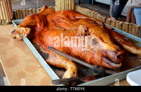 Gebratene ganze Schwein in einem Strich, kubanisches Essen schöne Farbe Stockfoto