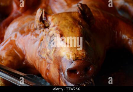 Gebratene ganze Schwein in einem Strich, kubanisches Essen schöne Farbe Stockfoto