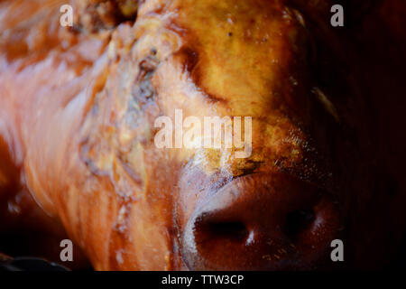 Gebratene ganze Schwein in einem Strich, kubanisches Essen schöne Farbe Stockfoto