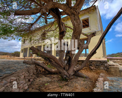 Balashi Gold Mühlen Ruinen, Aruba Stockfoto